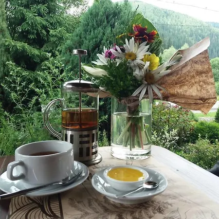 Khatky Ruslany מלון